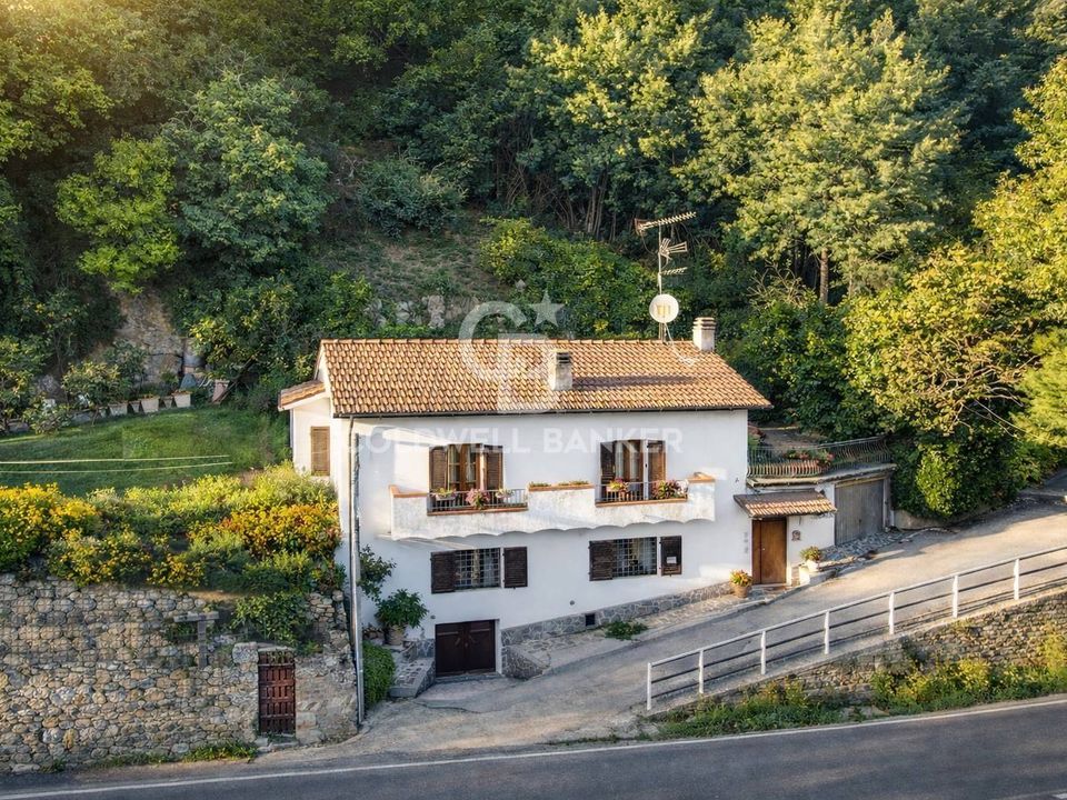 Herregård i Scansano, Grosseto - bilde 1