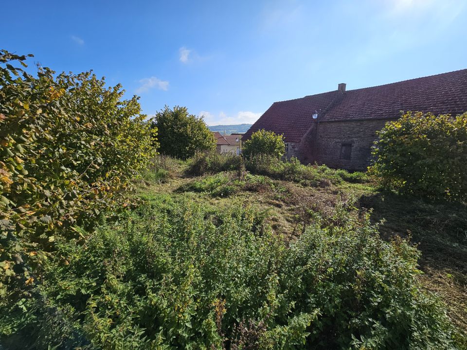 Tomt i Beaune, Cote-d'Or - bilde 4
