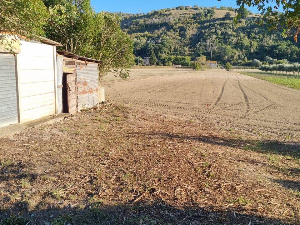 Helårsgrund i Controguerra, Teramo - foto 1