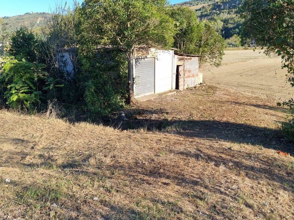 Helårsgrund i Controguerra, Teramo - foto 3