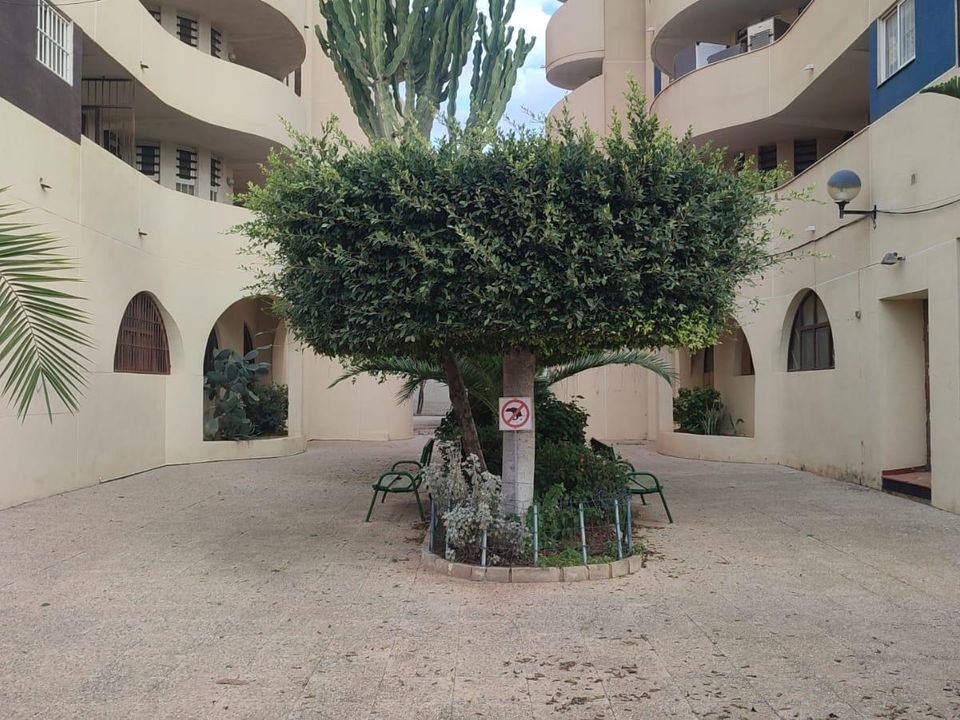 Lejlighed i Torrevieja, Alicante - foto 4