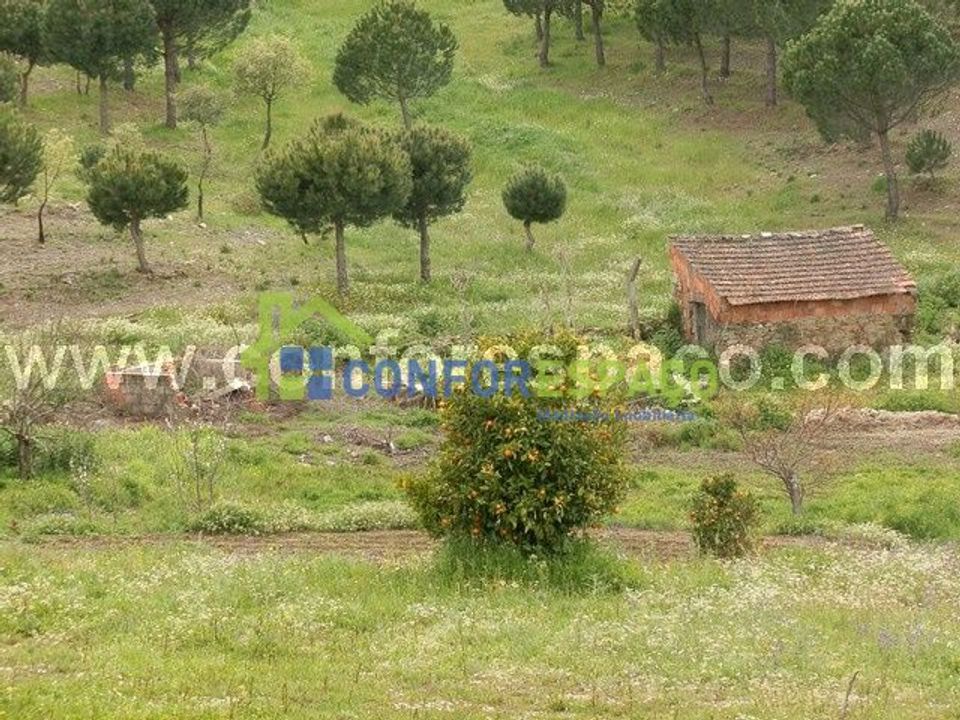 Landejendom i Castelo Branco, Castelo Branco - foto 1