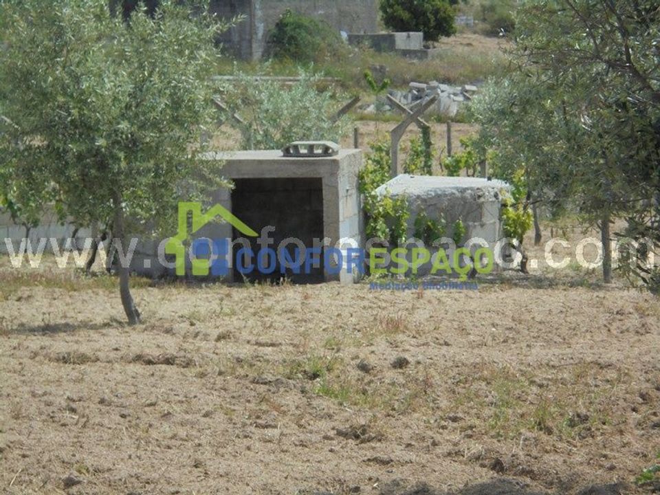 Helårsgrund i Castelo Branco, Castelo Branco - foto 4