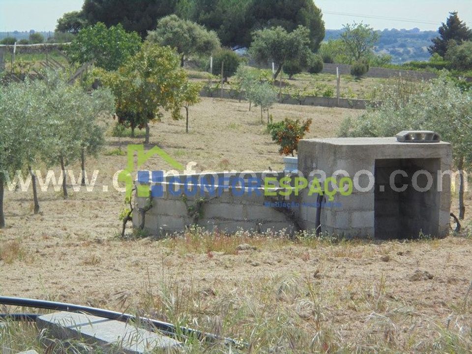 Helårsgrund i Castelo Branco, Castelo Branco - foto 1