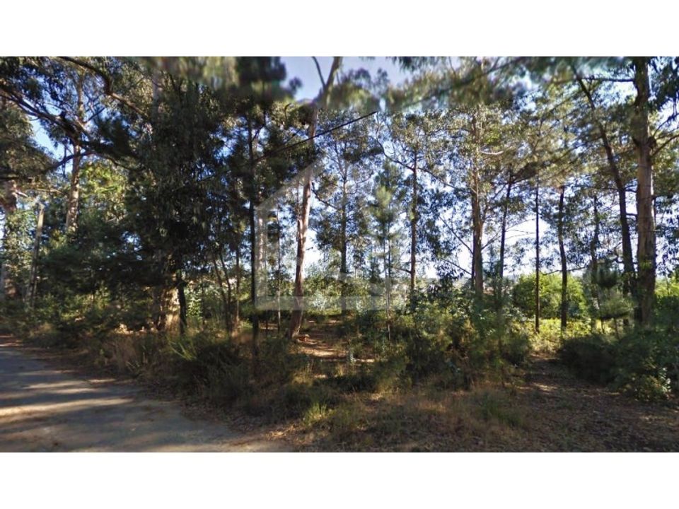 Helårsgrund i Oliveira de Azemeis, Aveiro - foto 3