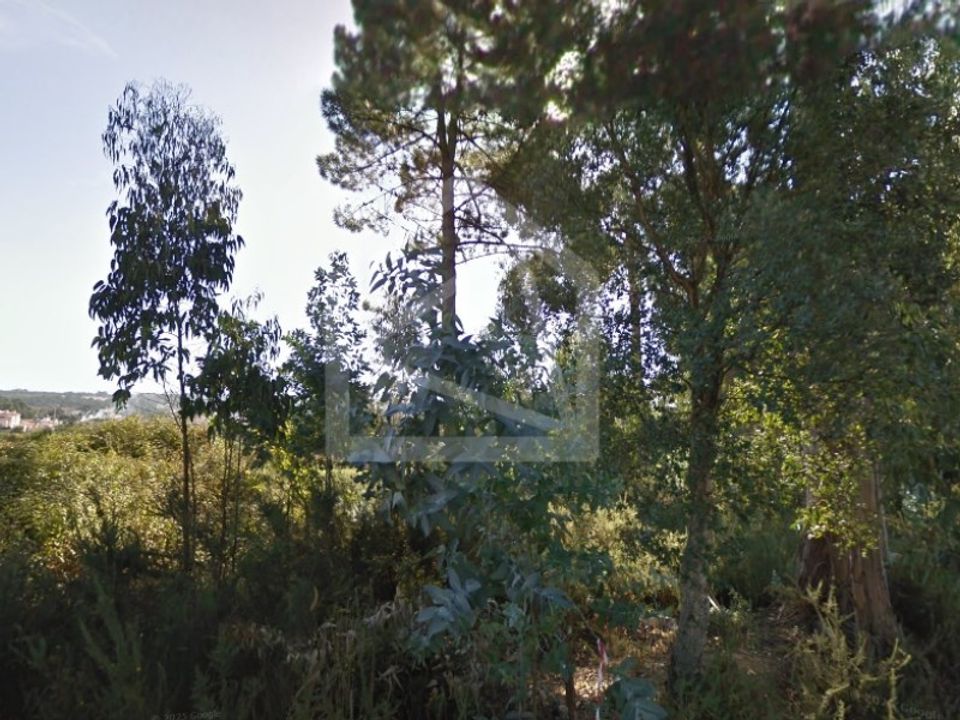 Helårsgrund i Oliveira de Azemeis, Aveiro - foto 5