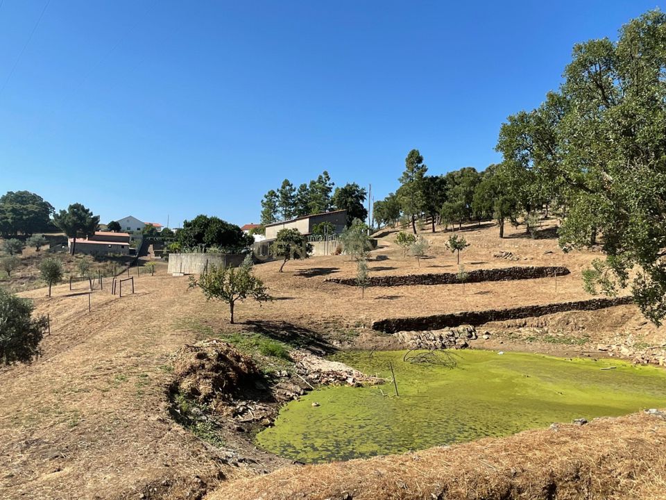 Helårsgrund i Abrantes, Santarem - foto 1