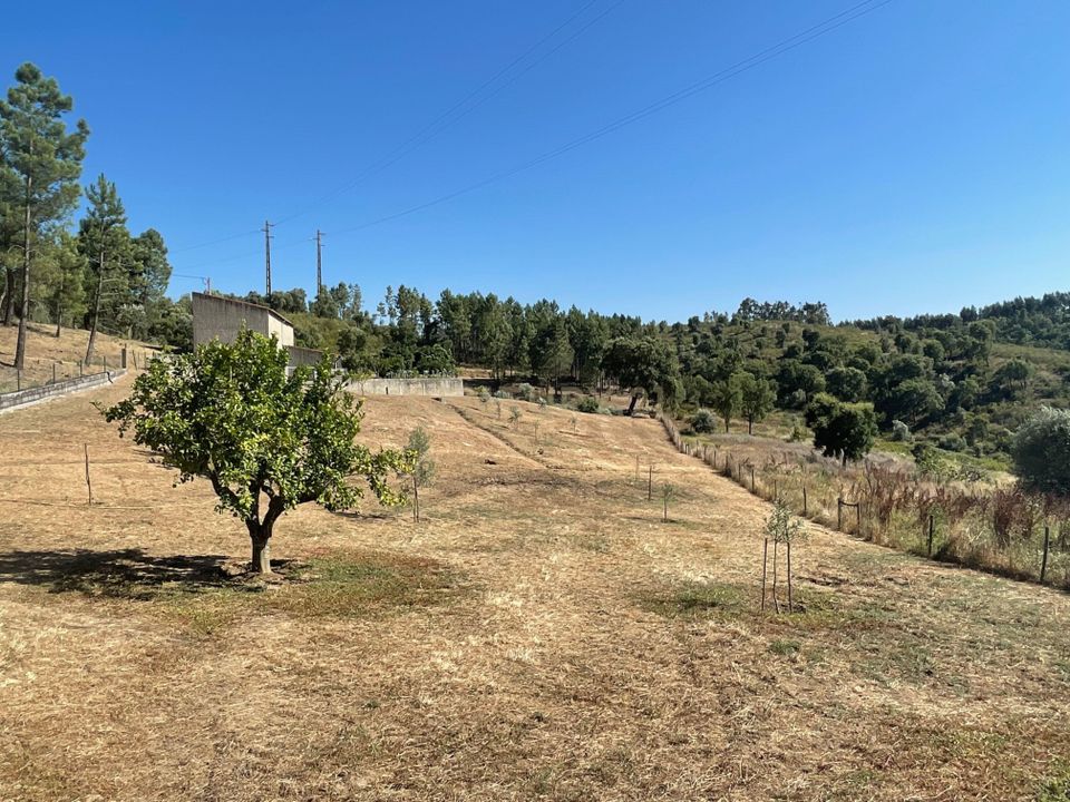Helårsgrund i Abrantes, Santarem - foto 5