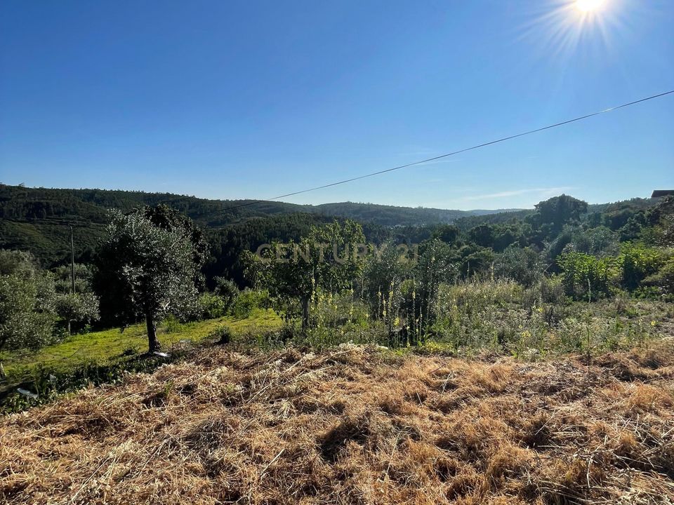 Helårsgrund i Abrantes, Santarem - foto 2