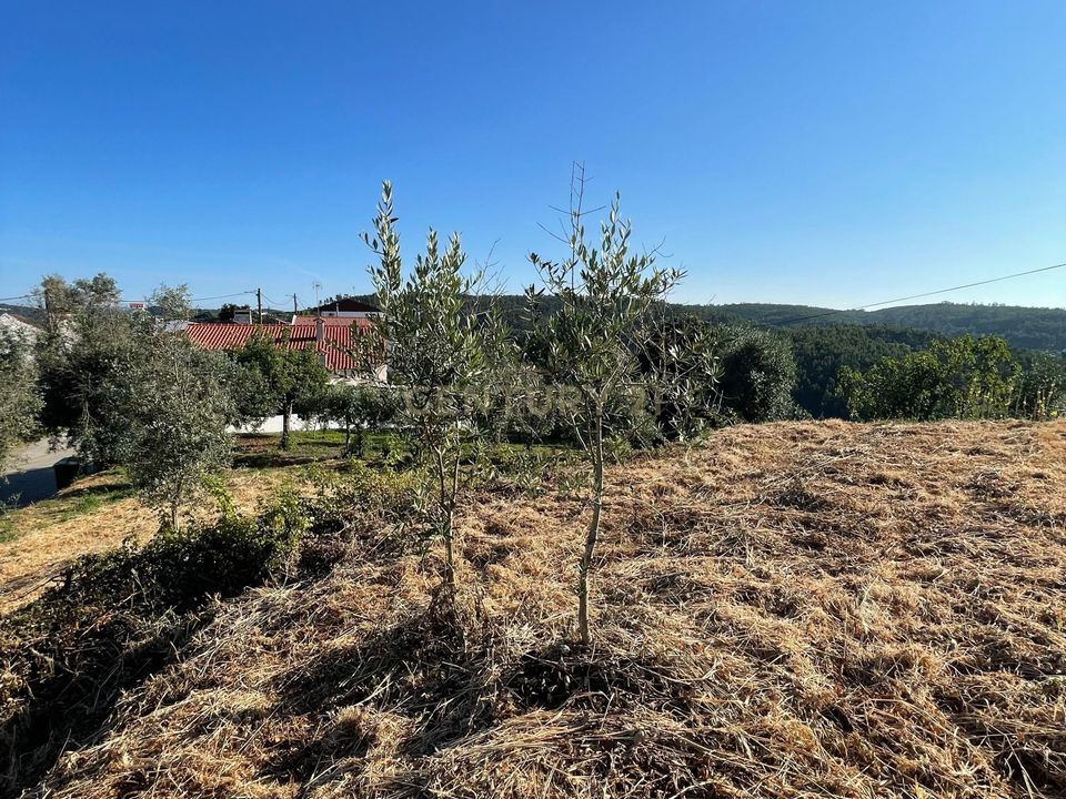 Helårsgrund i Abrantes, Santarem - foto 4