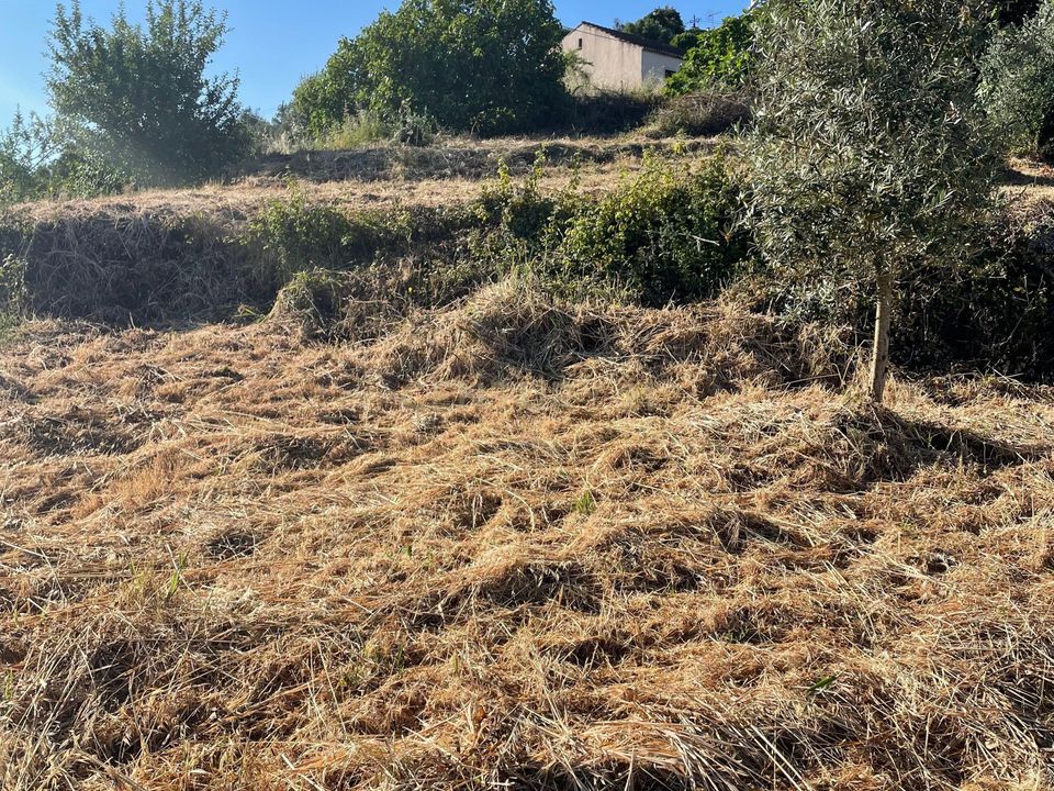 Helårsgrund i Abrantes, Santarem - foto 5