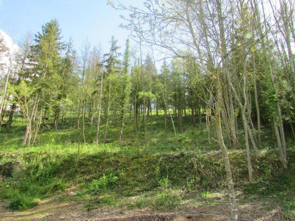 Tomt i Cherisy, Eure-et-Loir - bilde 2
