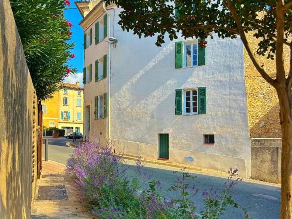 Villa i Flassans-sur-Issole, Var - foto 1