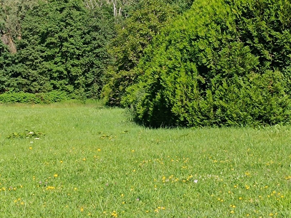 Helårsgrund i Cusset, Allier - foto 5