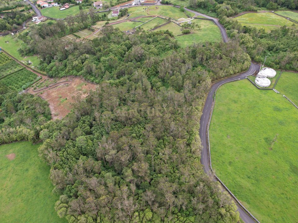 Helårsgrund i Terra Cha, Terceira - foto 3