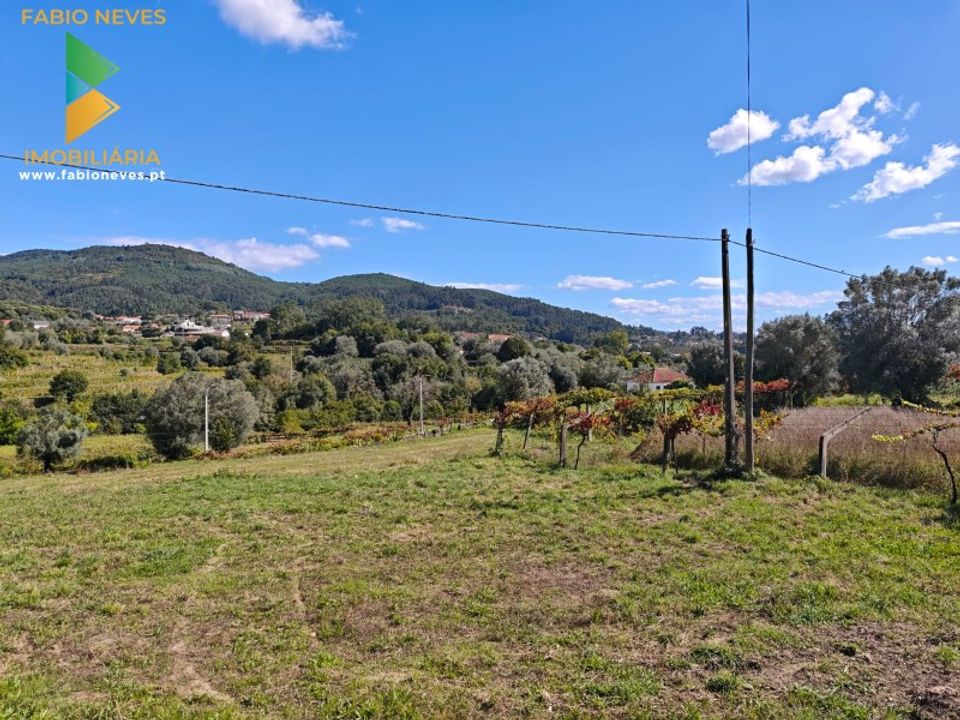 Bungalow i Ponte de Lima, Viana do Castelo - foto 4