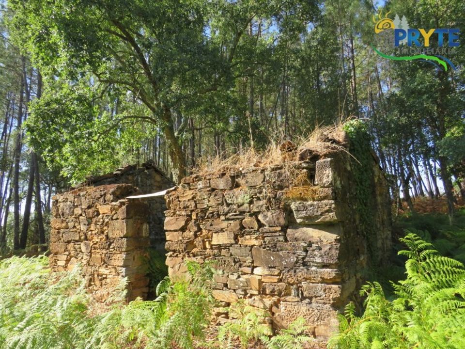 Ruinere i Serta, Castelo Branco - foto 2
