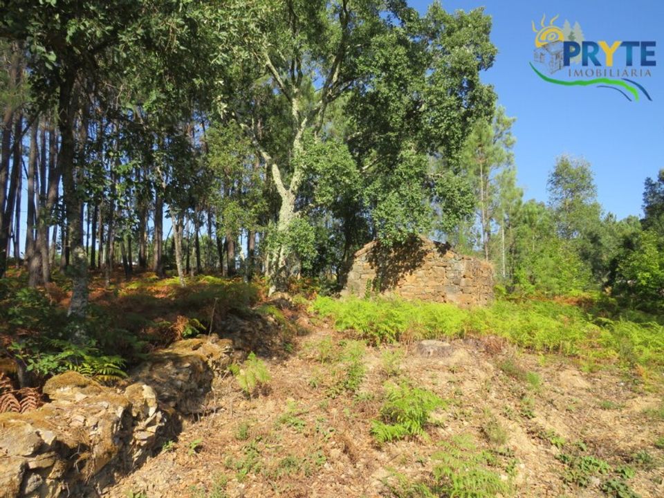 Ruinere i Serta, Castelo Branco - foto 3