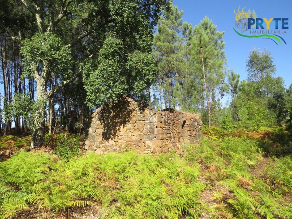 Ruinere i Serta, Castelo Branco - foto 4