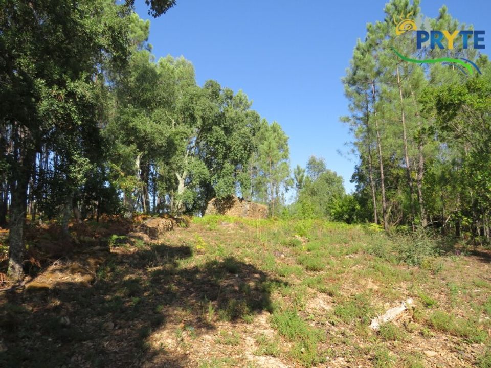 Ruinere i Serta, Castelo Branco - foto 5