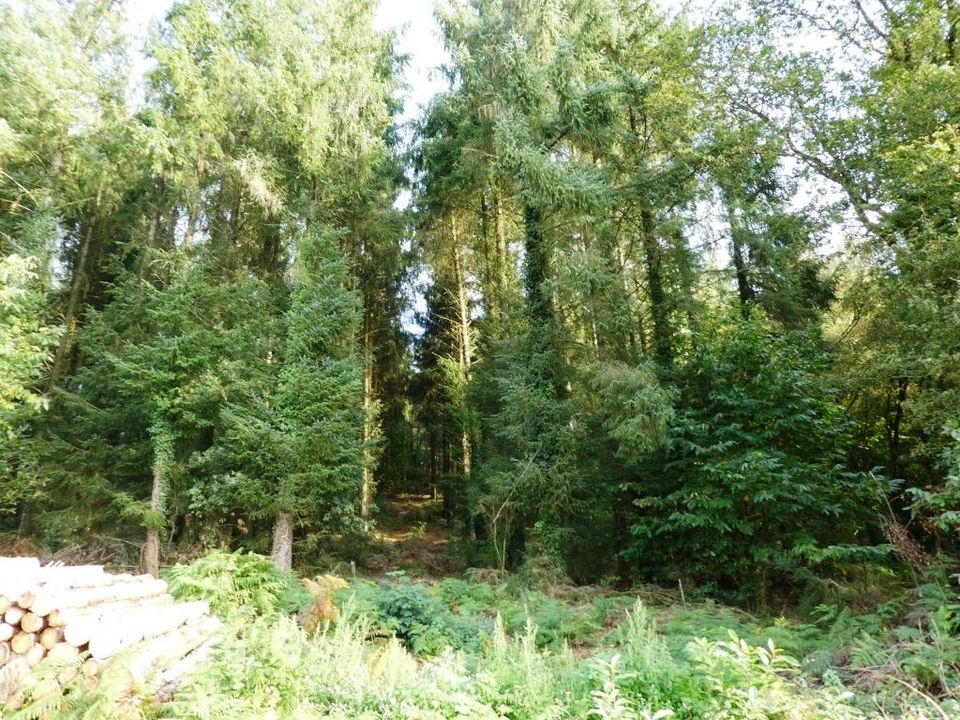 Terra a Melrand, Morbihan - foto 3