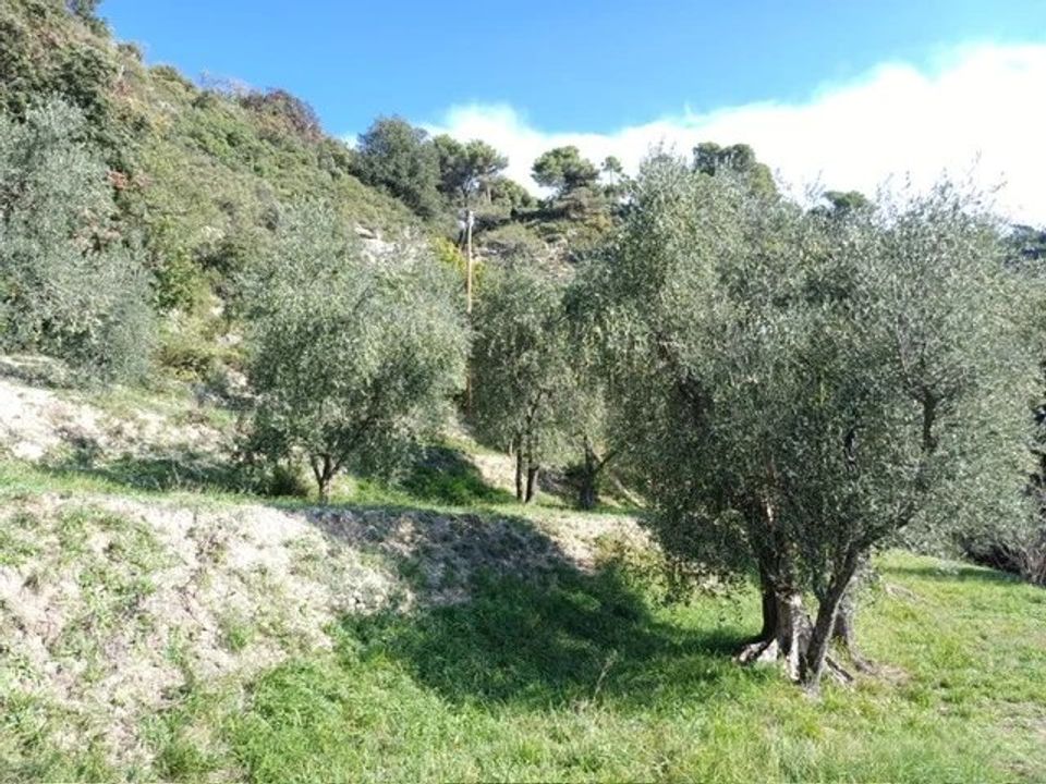 Villa i L'Escarène, Alpes-Maritimes - foto 1