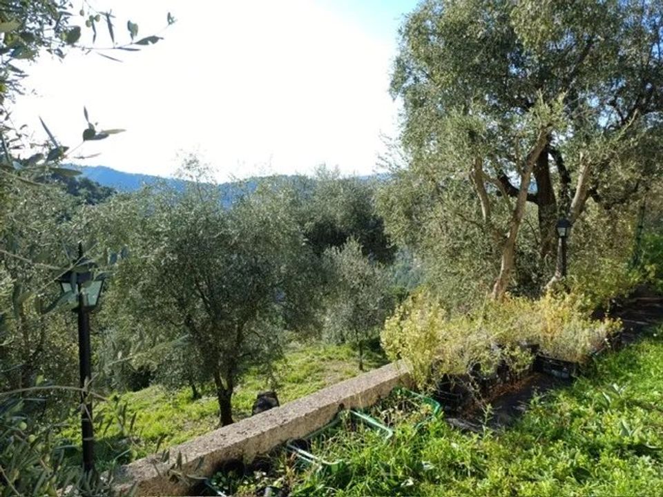 Villa i L'Escarène, Alpes-Maritimes - foto 2