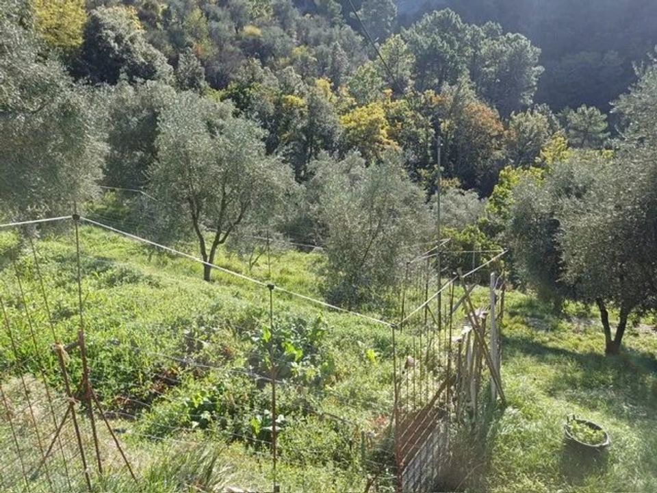 Villa i L'Escarène, Alpes-Maritimes - foto 3
