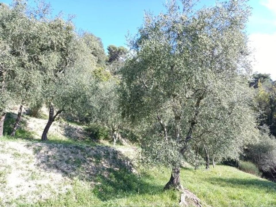 Villa i L'Escarène, Alpes-Maritimes - foto 5