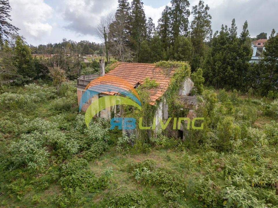 Farm i Santa Cruz, Madeira - foto 4