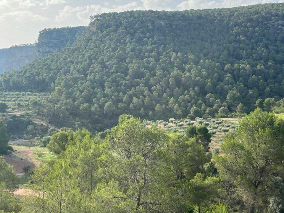 Finca i Jalance, Valencia - foto 2