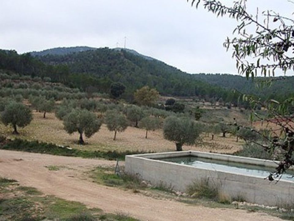 Finca i Jalance, Valencia - foto 4