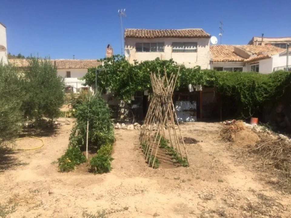 Finca i Zarra, Valencia - foto 3