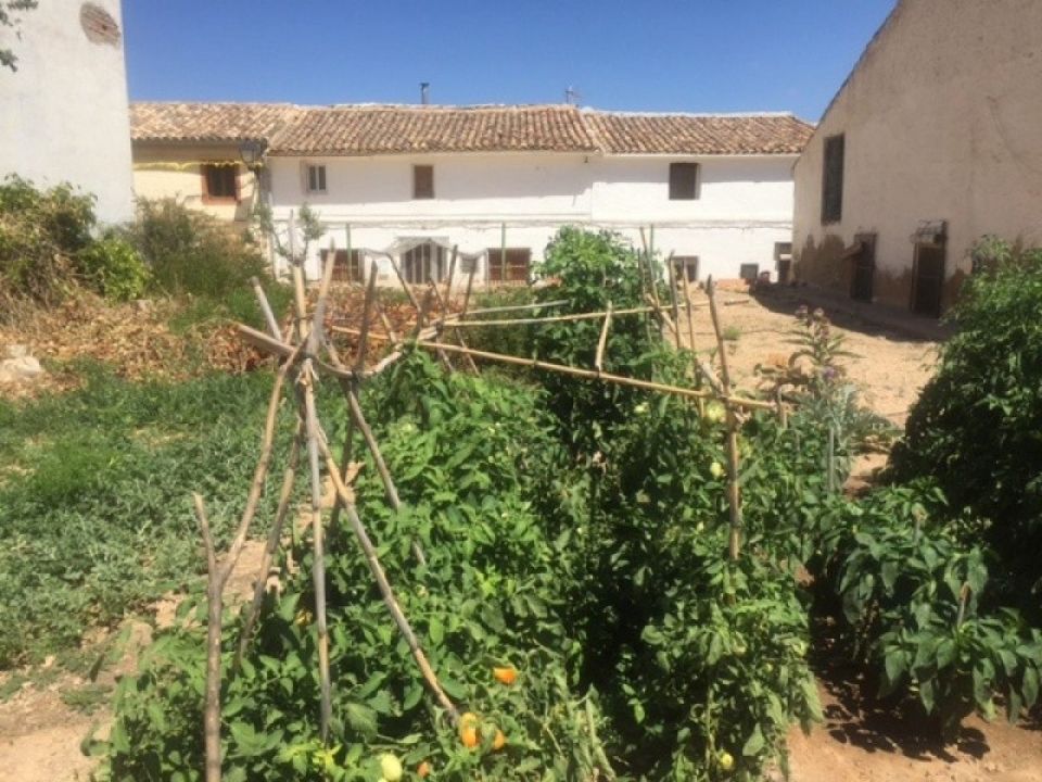 Finca i Zarra, Valencia - foto 5
