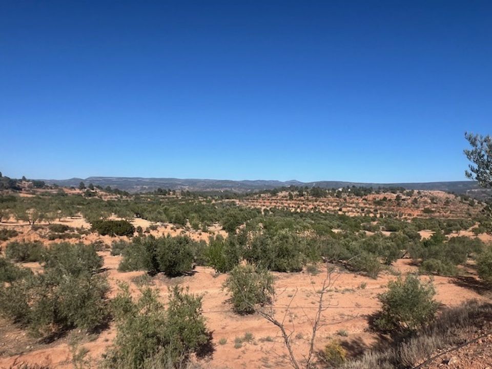 Finca i Ayora, Valencia - foto 4