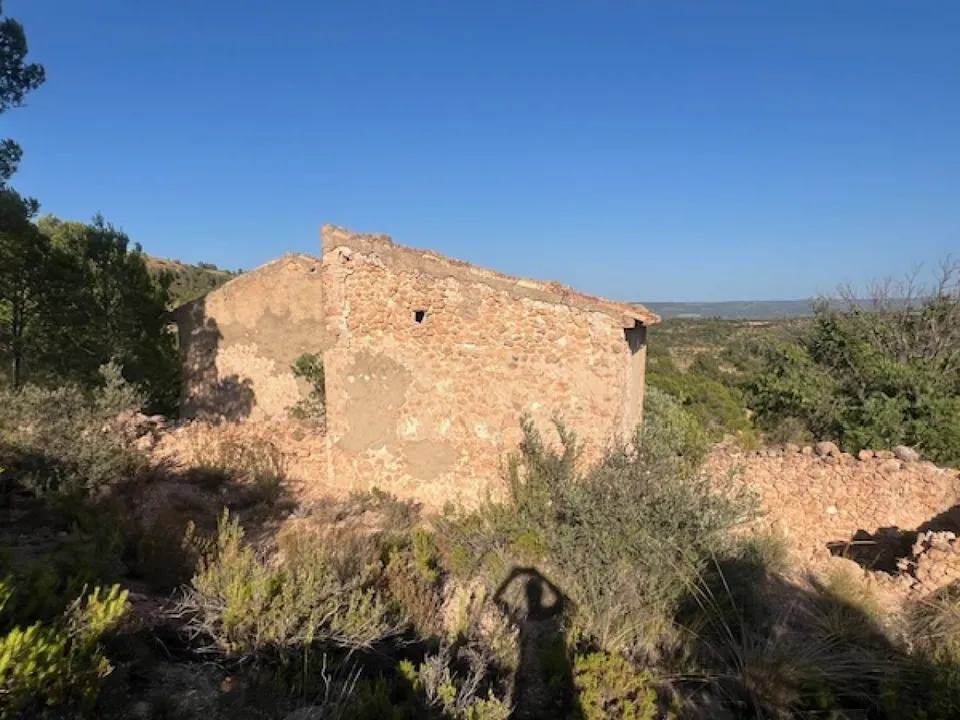 Finca i Ayora, Valencia - foto 1