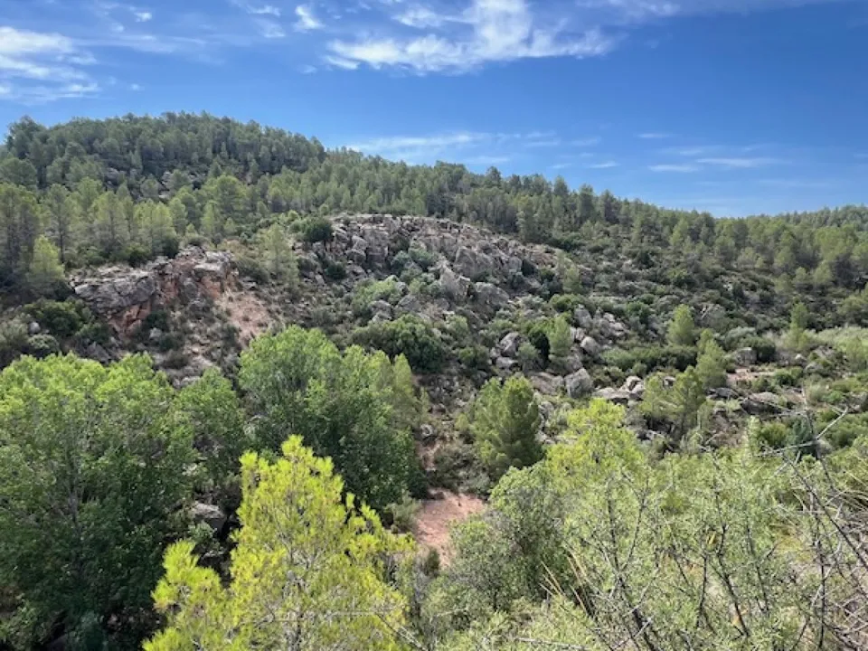 Finca i Ayora, Valencia - foto 4