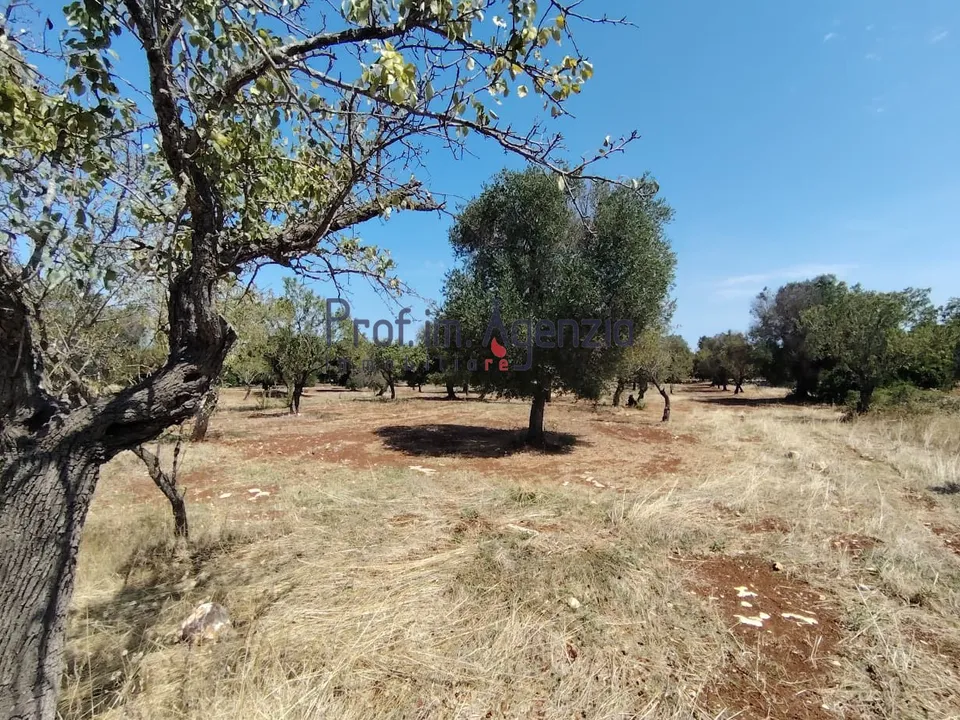 Helårsgrund i Carovigno, Brindisi - foto 3
