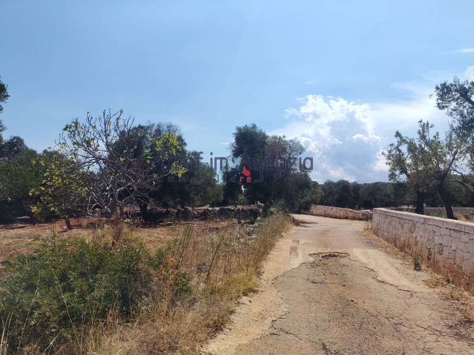 Helårsgrund i Carovigno, Brindisi - foto 5