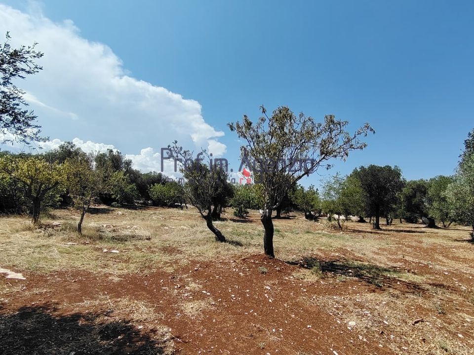 Helårsgrund i Carovigno, Brindisi - foto 4