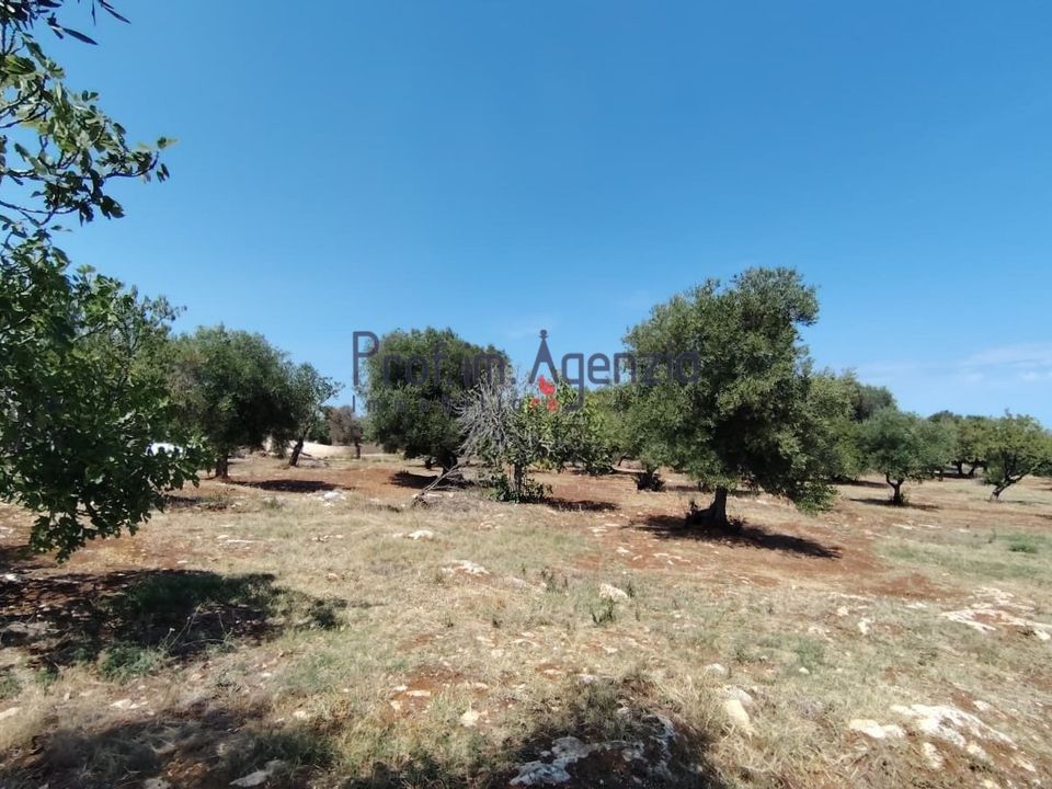 Helårsgrund i Carovigno, Brindisi - foto 1