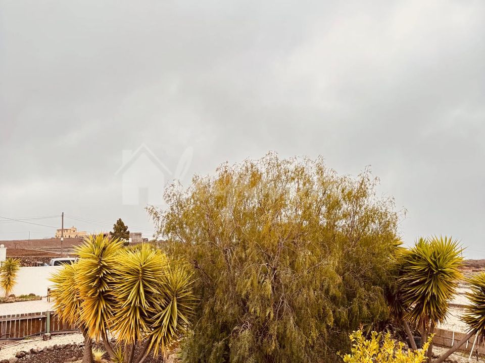Landejendom i Vilaflor, Tenerife - foto 4