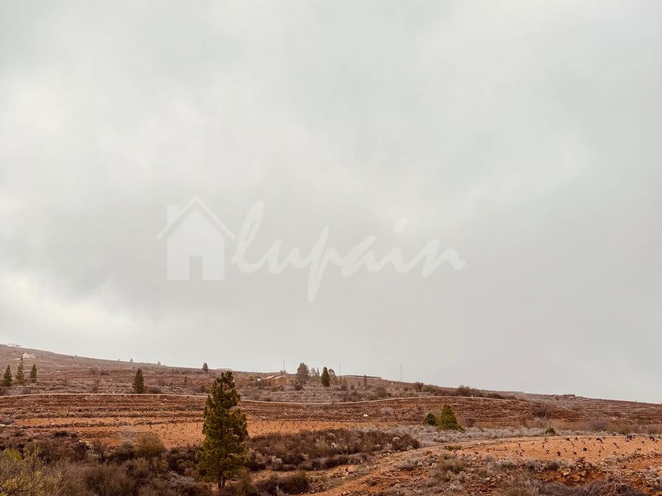 Landejendom i Vilaflor, Tenerife - foto 5