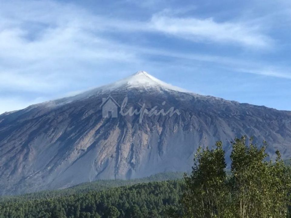 Erhvervsejendom i Adeje, Tenerife - foto 1