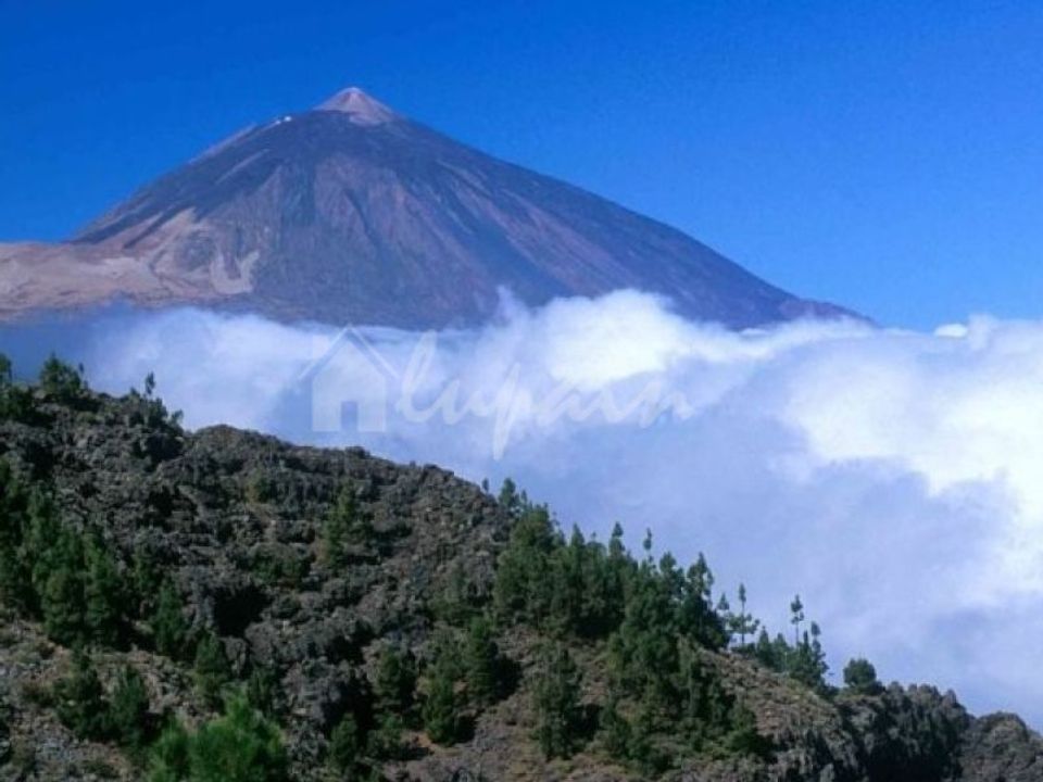 Erhvervsejendom i Adeje, Tenerife - foto 2