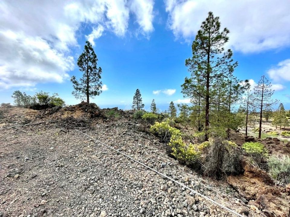 Terra a Guia De Isora, Tenerife - foto 1