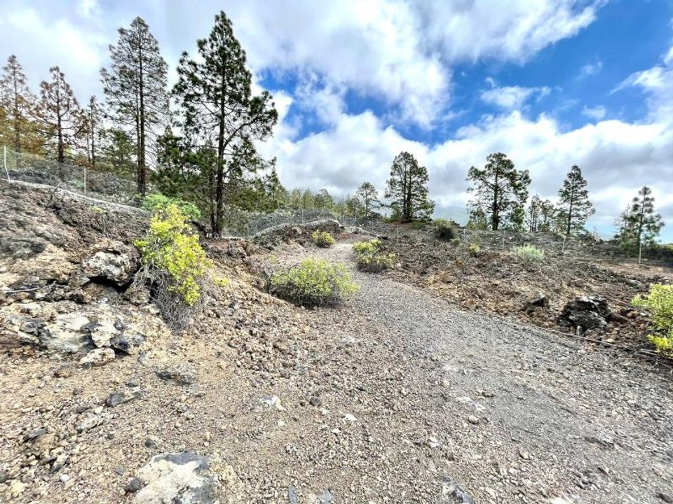 Terra a Guia De Isora, Tenerife - foto 5