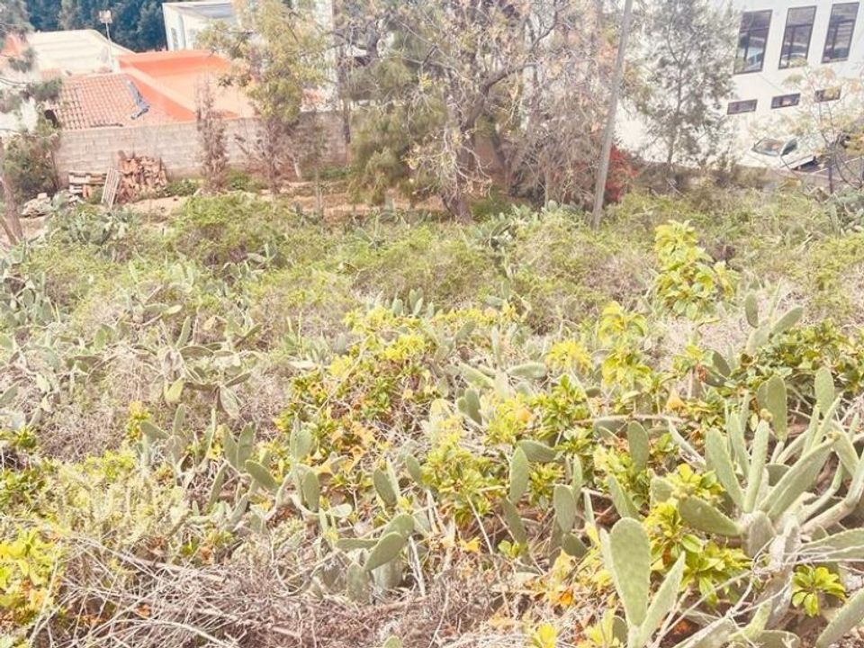 Helårsgrund i Arona, Tenerife - foto 3