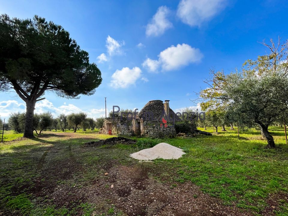 Herregård i Ceglie Messapica, Brindisi - bilde 4
