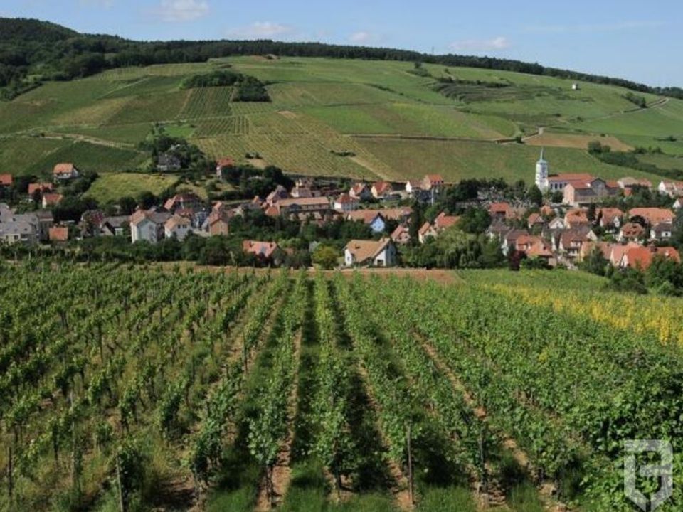 Lejlighed i Barr, Bas-Rhin - foto 3
